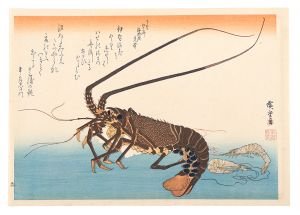 Hiroshige I/A Series of Fish Subjects / Lobster, Prawn【Reproduction】[魚づくし　伊勢海老・芝蝦【復刻版】]