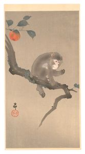 Monkey in Persimmon Tree / Ohara Koson(Shoson)