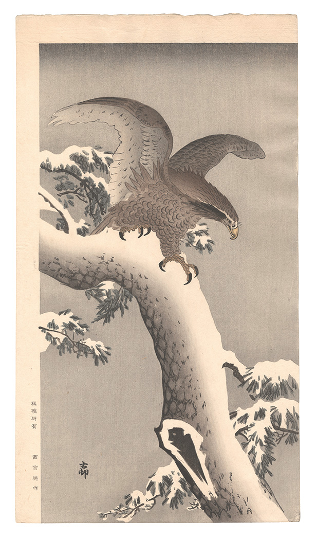 Ohara Koson(Shoson) “White-tailed Eagle on Snowy Pine Branch”／