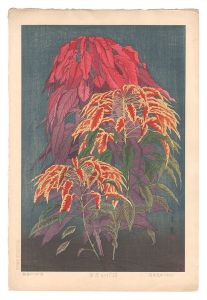 Amaranthus gangeticus / Inuzuka Taisui