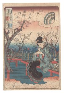 <strong>Hiroshige I</strong><br>Famous Places in Edo and Muras......