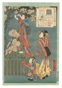 Toyokuni III/An Excellent Selection of Thirty-six Noted Courtesans / No. 9: Wakamurasaki[名妓三十六佳撰　第九 わかむらさきの話]