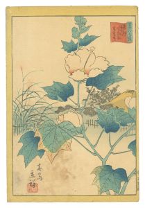 Hiroshige II/Thirty-six Selected Flowers / No. 27: Hibiscus at the Flower Garden by the Sumida River in the Eastern Capital[三十六花撰　二十七 東都隅田河花屋敷 芙蓉花]