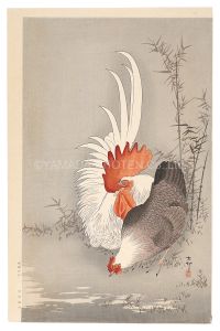 Rooster and Hen (tentative title) / Ohara Koson(Shoson)