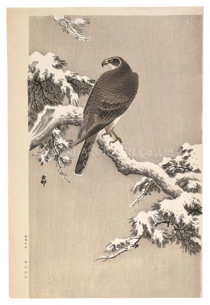 小原古邨（祥邨）｢雪中の鷲（仮題）｣／