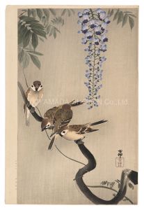 Sparrow and Wisteria (tentative title) / Ohara Koson(Shoson)