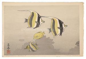 Hawaiian Fish A / Yoshida Toshi