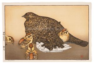 Grouse / Yoshida Toshi