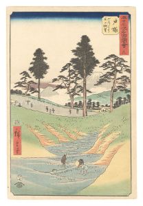 Famous Sights of the Fifty-three Stations / No. 6, Totsuka: View of Fuji from the Mountain Road / Hiroshige I