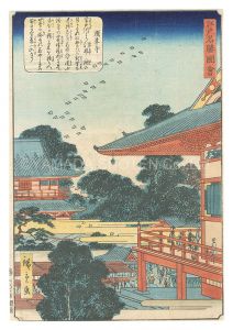 Views of Famous Places in Edo / Senso-ji Temple / Hiroshige II