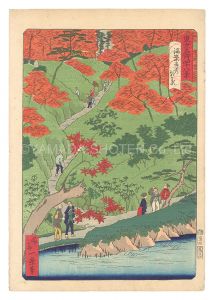 Forty-Eight Views of Famous Places in Tokyo / Red Maple Leaves at Kaian-ji Temple / Ikkei