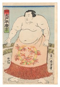 Sumo-e: O'tohira Hirokichi from Sendai / Shunsen