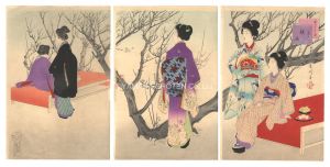 Twelve Months of Beauties / No. 2: Viewing Plum Blossoms / Shuntei