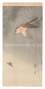 Bird Hunting an Insect (tentative title) / Ohara Koson(Shoson)