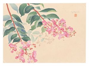 Picture Album of Various Flowers / Crape Myrtle / Oguri Yoshiji