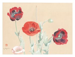 Picture Album of Various Flowers / Red Poppy / Oguri Yoshiji