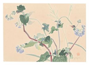 Picture Album of Various Flowers / Flossflower / Oguri Yoshiji