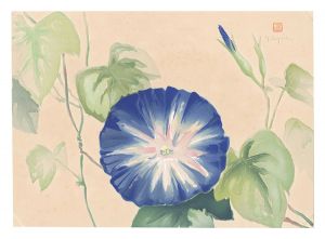 Picture Album of Various Flowers / Morning Glory / Oguri Yoshiji