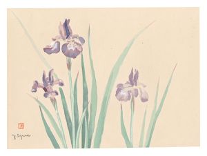 Picture Album of Various Flowers / Iris / Oguri Yoshiji