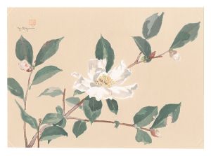 Picture Album of Various Flowers / Camellia / Oguri Yoshiji