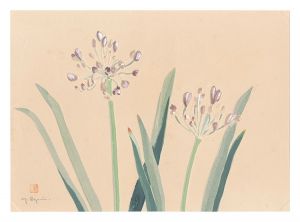 Picture Album of Various Flowers / Akaban / Oguri Yoshiji