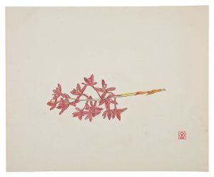 Orchid / Tomimoto Kenkichi